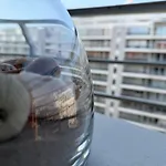 Beachday Ii - Opkuis Inbegrepen In De Prijs - Garagebox Inbegrepen Apartment
