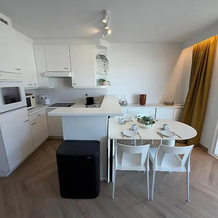 Beachday Ii - Opkuis Inbegrepen In De Prijs - Garagebox Inbegrepen * Nieuwpoort